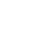 Вінерлізинг